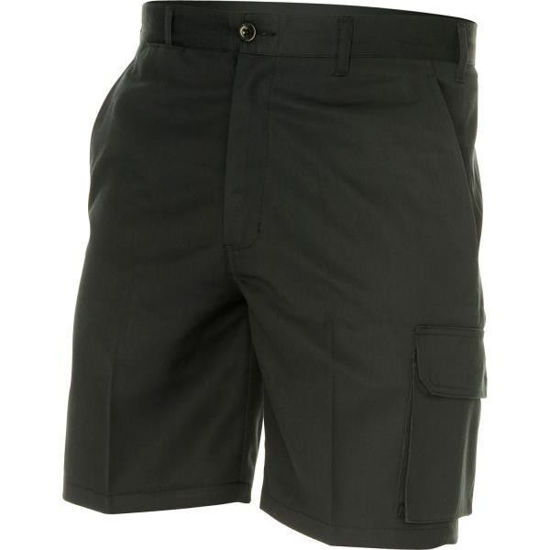 Picture of Dnc Permanent Press Cargo Shorts 4503