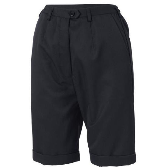 Picture of Dnc Ladies' Permanent Press Flat Front Shorts 4551