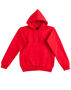 Picture of Winning Spirit Ladies' Fleecy Hoodie FL08