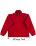 Picture of Winning Spirit Kids' Half Zip Polar Fleecy Pullover PF11