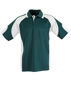 Picture of Winning Spirit Men'S Cooldry Contrast Polo With Sleeve Panel PS61