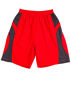 Picture of Winning Spirit Adults' Basketball Shorts SS23