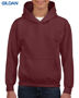 Picture of Gildan Heavy Blend Youth Hooded Sweatshirt 18500B