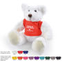 Picture of Frosty Plush Teddy Bear LL40883