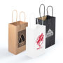 Picture of Express Paper Bag Small LL547