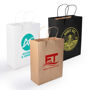 Picture of Express Paper Bag Medium LL548