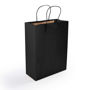 Picture of Express Paper Bag Medium LL548