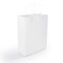 Picture of Express Paper Bag Medium LL548