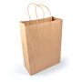 Picture of Express Paper Bag Large LL549