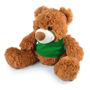 Picture of Coco Plush Teddy Bear LL88120