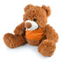 Picture of Coco Plush Teddy Bear LL88120