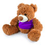 Picture of Coco Plush Teddy Bear LL88120