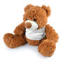 Picture of Coco Plush Teddy Bear LL88120