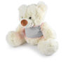 Picture of Coconut Plush Teddy Bear LL88125